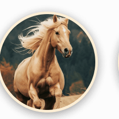 horse
